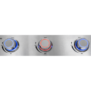 Ψησταριά Υγραερίου Proton BBQ 3+1 INOX